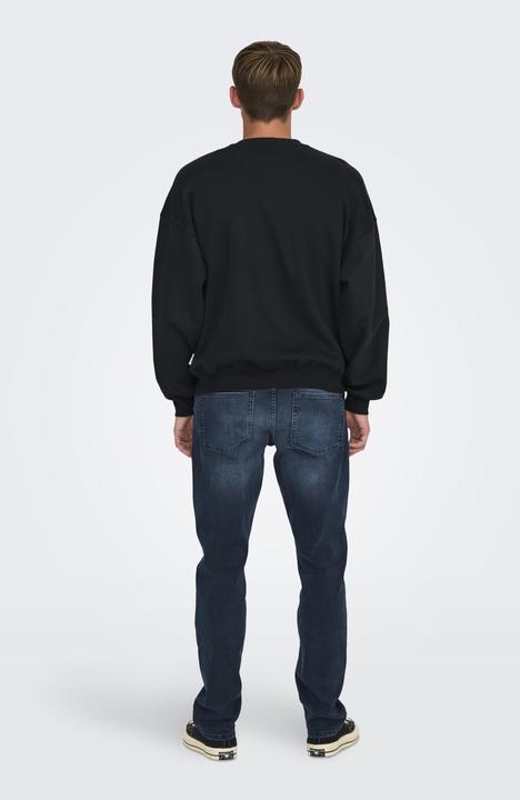 Image du produit Only & Sons Onsturner Life Vtg Crew Neck Sweat Noos (M)