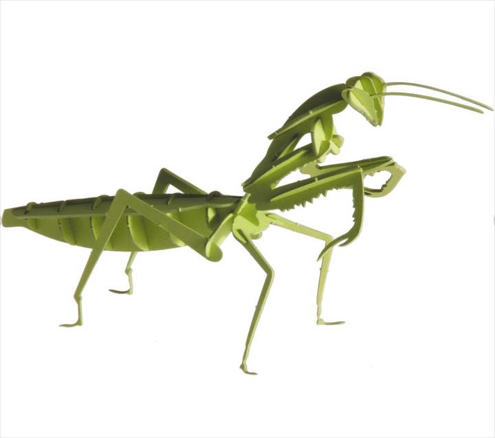 Produktbild Fridolin 3-D Papiermodell "Gottesanbeterin"