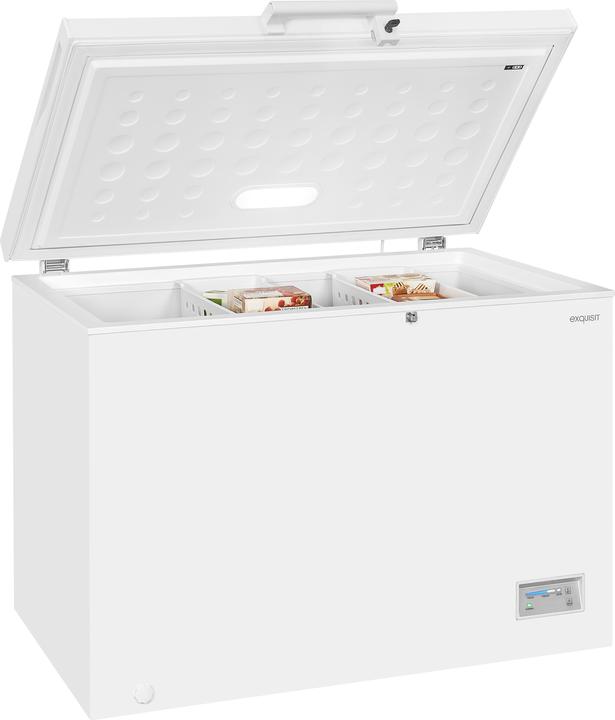 Produktbild Exquisit GT320-HE-040E (Freistehend, 308 l)