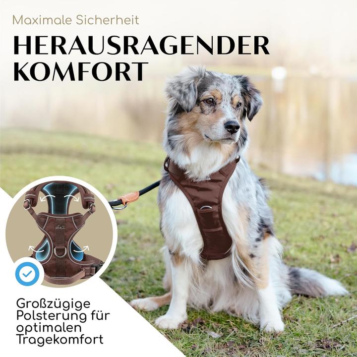 Produktbild Freudentier Hundegeschirr mit Griff, gepolstert & sicher (S, Hund)