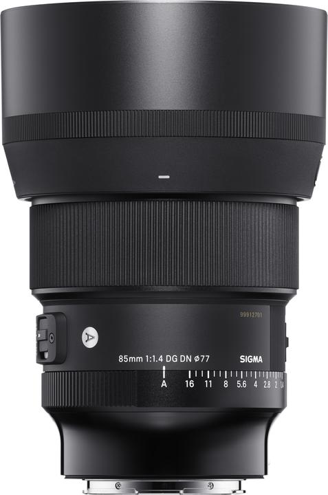 Sigma 85mm f/1.4 DG DN Type, Sony-E (Sony E, full size)