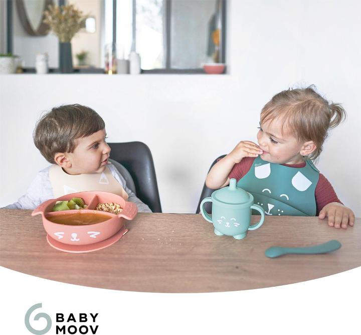 Produktbild Babymoov Learn'isy