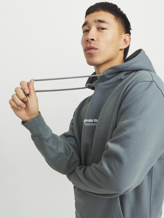 Actual product image Jack & Jones Printed hooded sweatshirt Hooded sweatshirt (M)