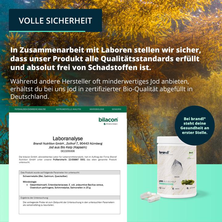 Produktbild Brandl Jod aus Bio Kelp Vegan (1 Stück, Kapseln, 210 g)