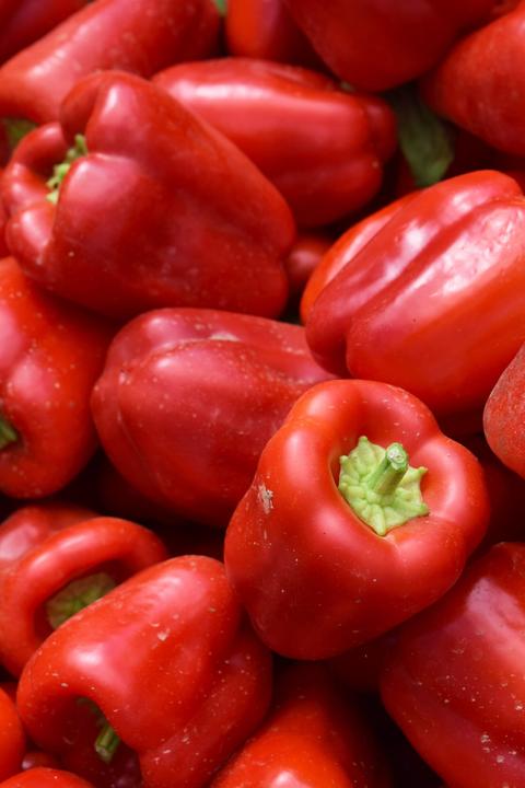 Actual product image Living Seeds Paprika, Albaregia (Vegetable seeds)