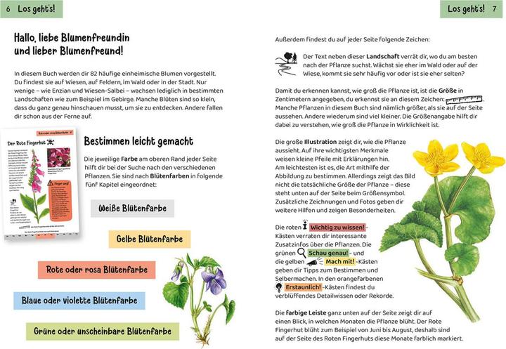 Nährwerte und Zutaten Kosmos Was blüht denn da? Kindernaturführer (Deutsch, Heike Herrmann, Ursula Stichmann-Marny, 2022)