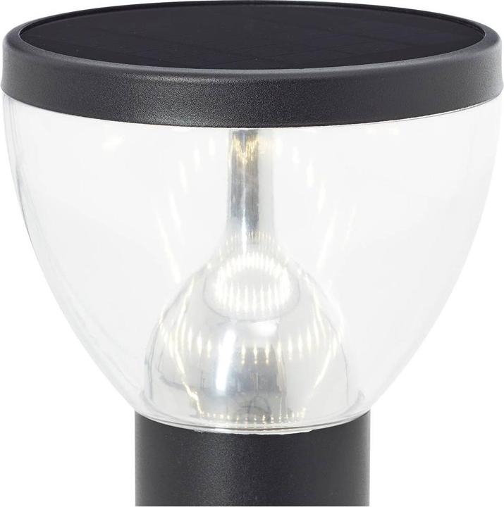 Actual product image Brilliant G40411/06 Tulip solar outdoor stand light, pathway light 3 W warm white Sc (430 lm, IP44)