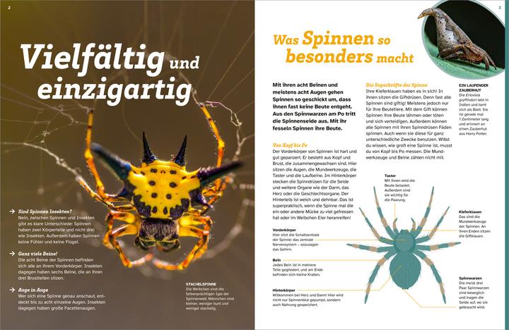 Immagine prodotto Tessloff WAS IST WAS Spinnen. Akrobaten auf acht Beinen (Tedesco, Inga Marie Ramcke, 2024)