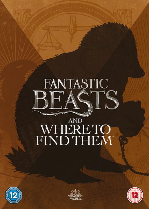 Immagine prodotto Warner Bros Bestie Fantastiche E Dove Trovarle (DVD, 2016, Inglese)