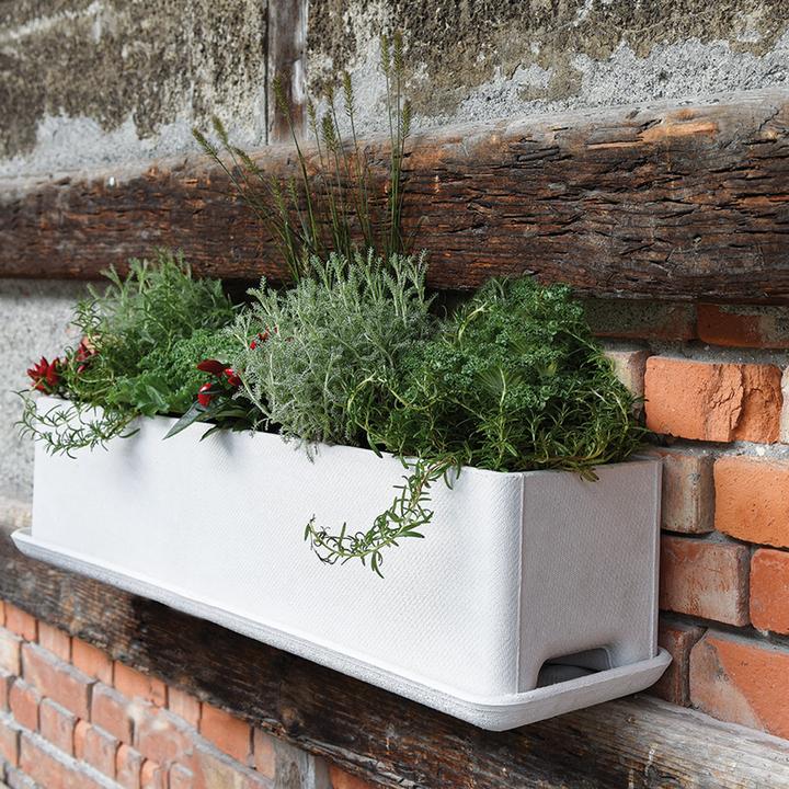 Immagine prodotto Eternit Balconia (17 cm)