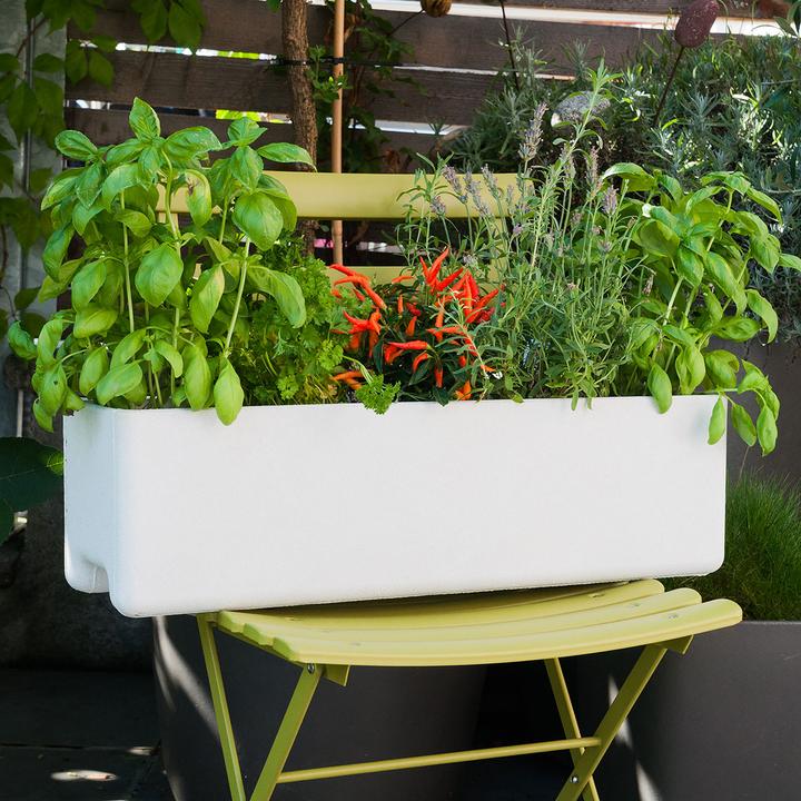 Immagine prodotto Eternit Balconia (17 cm)
