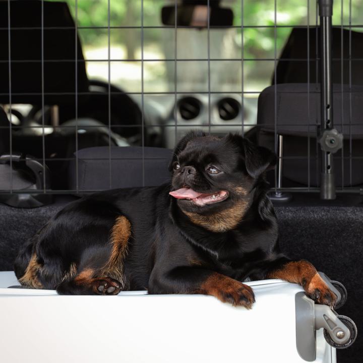 Actual product image Relaxdays Dog fence (Dog, Reflectors)