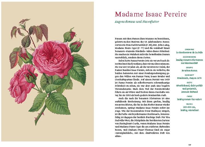 Produktbild Historische Rosen (Deutsch, Sofia Blind, Staatsbibliothek zu Berlin, 2023)
