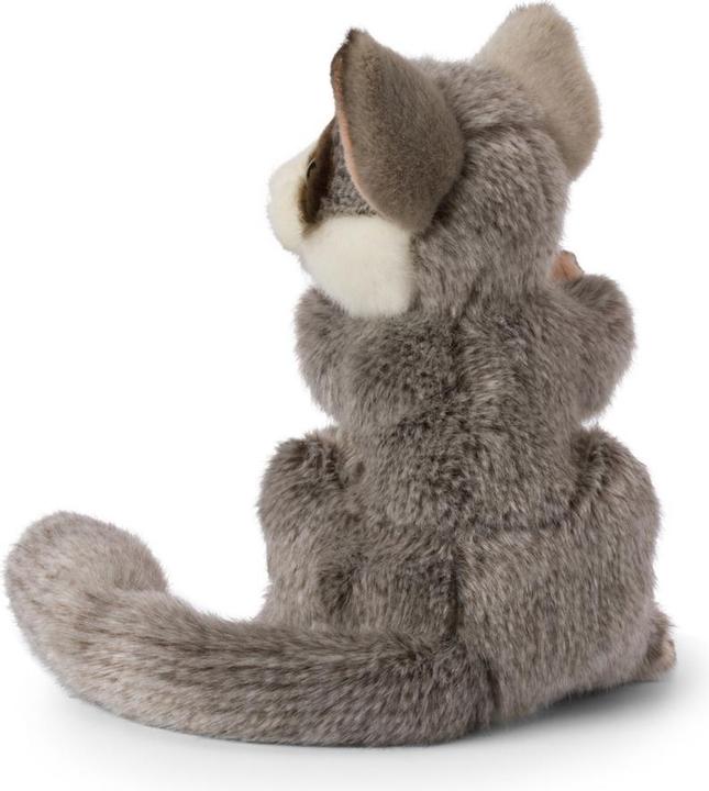 Image du produit WWF Galago assis (19 cm)
