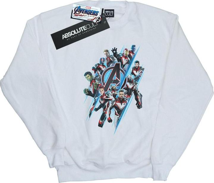 Actual product image Boys Avengers Endgame Logo Team Sweatshirt (140, 146)