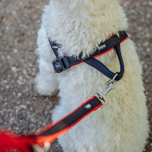 Produktbild Nobby Norwegergeschirr Mesh Preno (M, L, Hund, Allgemein)