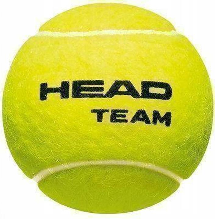 Head Tennisbälle Team 12erPack
