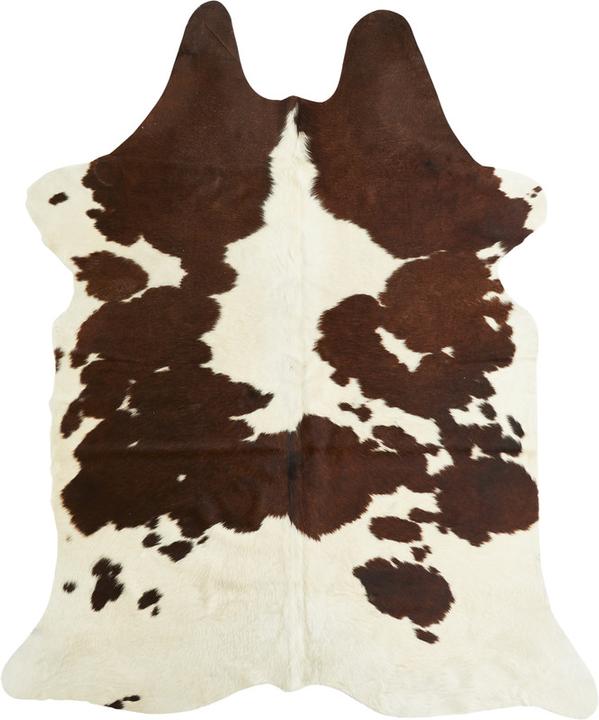 Brown patterned