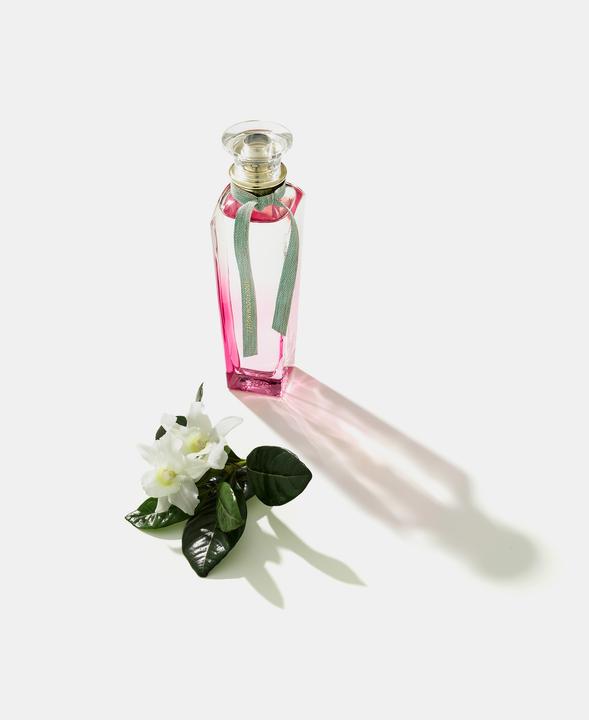 Actual product image Adolfo Dominguez Agua Fresca Gardenia Musk Edt. Spray 120ml (Eau de toilette, 120 ml)