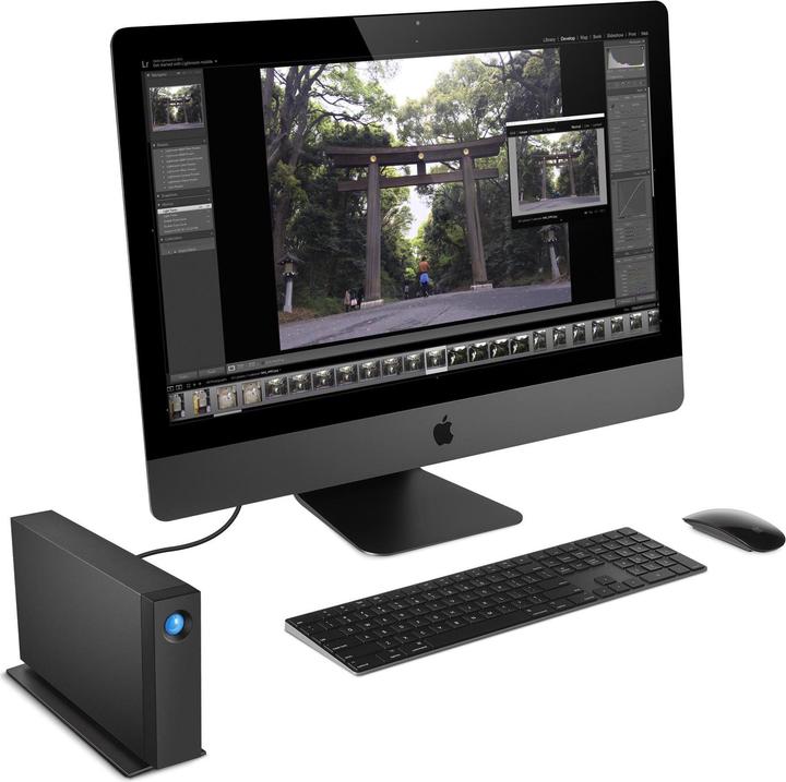Immagine prodotto LaCie d2 Professional (20 TB)