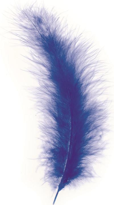 Image du produit Glorex Marabufedern ca. 15St blau