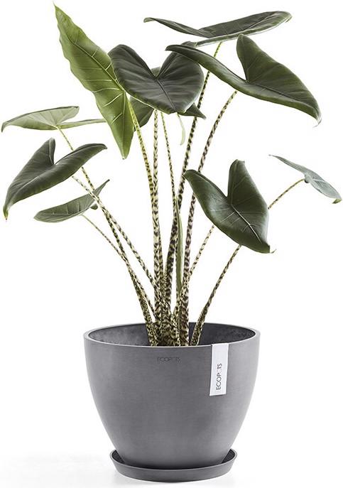 Produktbild Ecopots Saucer Round