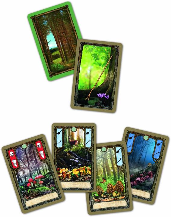 Produktbild Pegasus Fungi (Deutsch)