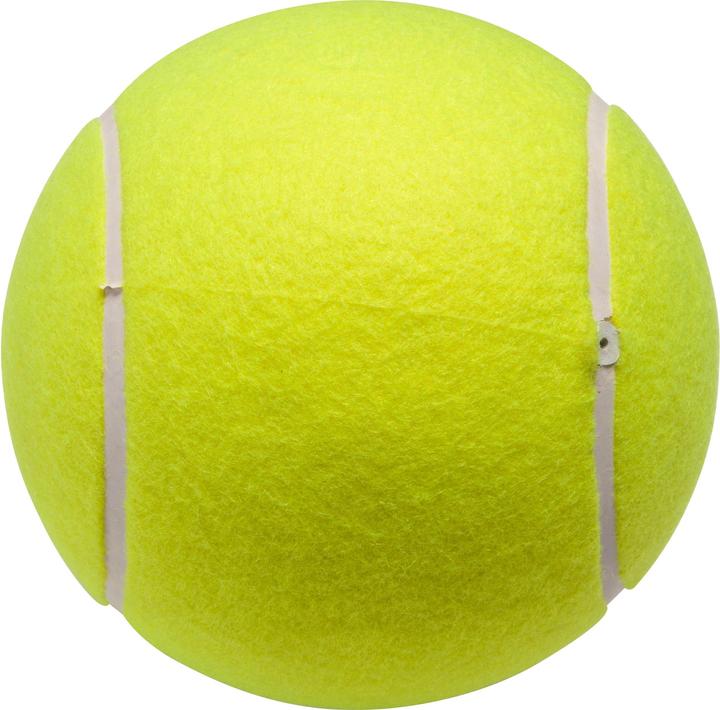 Actual product image Artengo Jumbo