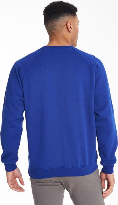 Produktbild Maddins Sweatshirt Pullover mit Rundhalsausschnitt Coloursure (S, M, L, XL, XXL)