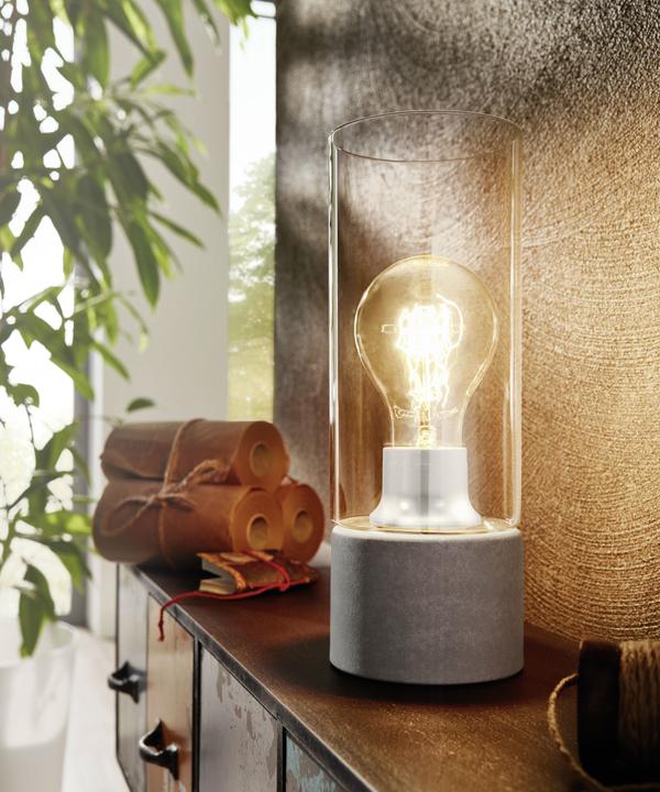Actual product image EGLO Torvisco 1 (E27)