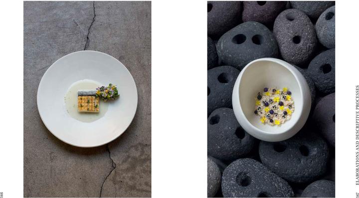 Actual product image Guzman:Borago (English, Andrea Petrini, Andoni Aduriz, Rodolfo Guzman, 2017)