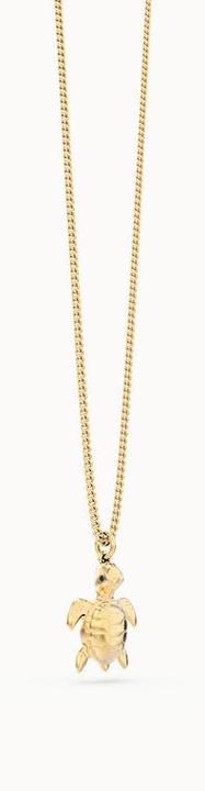 Actual product image MTM Sea Turtle Necklace (Brass, 18k Gold, 43 cm)