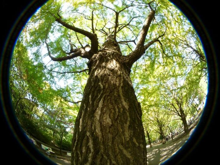 Produktbild Raynox HDP 2800 ES 52 (Fisheye, Universell)