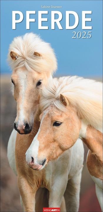 Actual product image Horse calendar 2025 (33 x 68 cm, Hardcover, German)