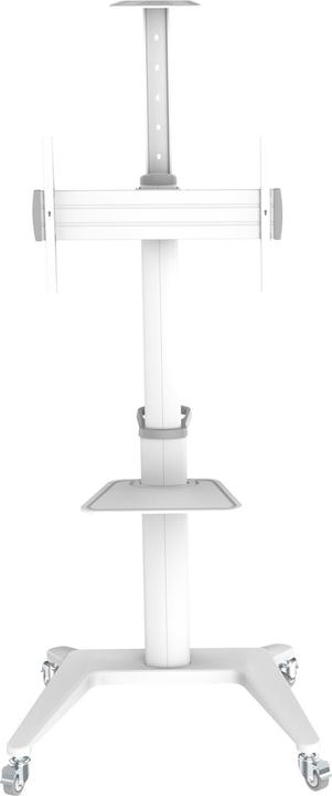 Image du produit PureMounts Chariot TV PDS-0003C DS, blanc (Universel, 70", 70 kg)