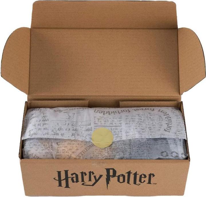 Produktbild Thumbs Up Harry Potter - Slytherin Strick Set Haussocken und Fäustlinge