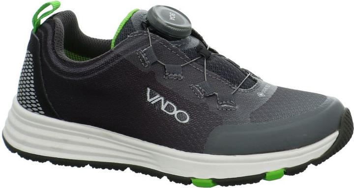 Actual product image Vado Fade Lo GTX Boa (38)