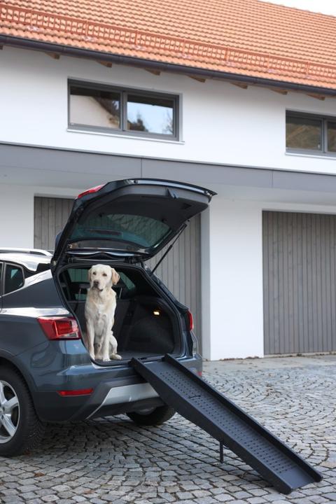 Immagine prodotto Kerbl Rampa per cani (Cane, Pieghevole)