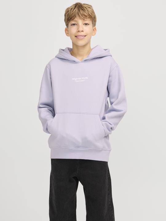 Produktbild Jack & Jones Jorvesterbro Sweat Hood Noos Jnr (176)