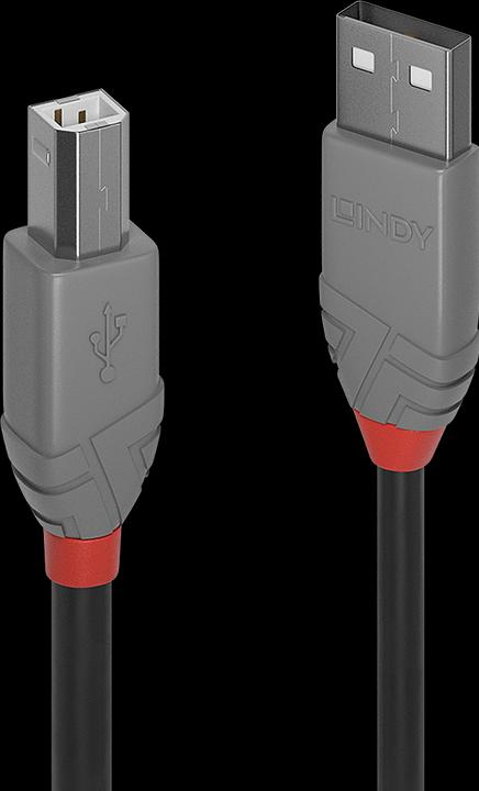 Produktbild Lindy USB/A-USB/B M-M (0.50 m, USB 2.0)