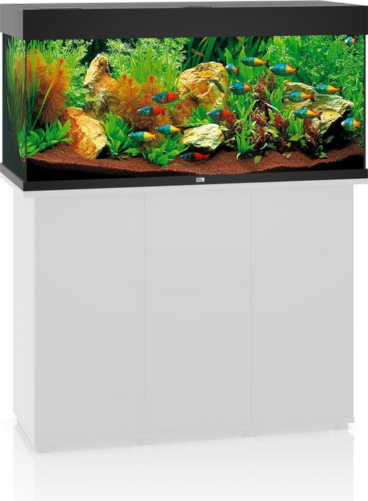 Actual product image Juwel Aquarium Rio (180 l)