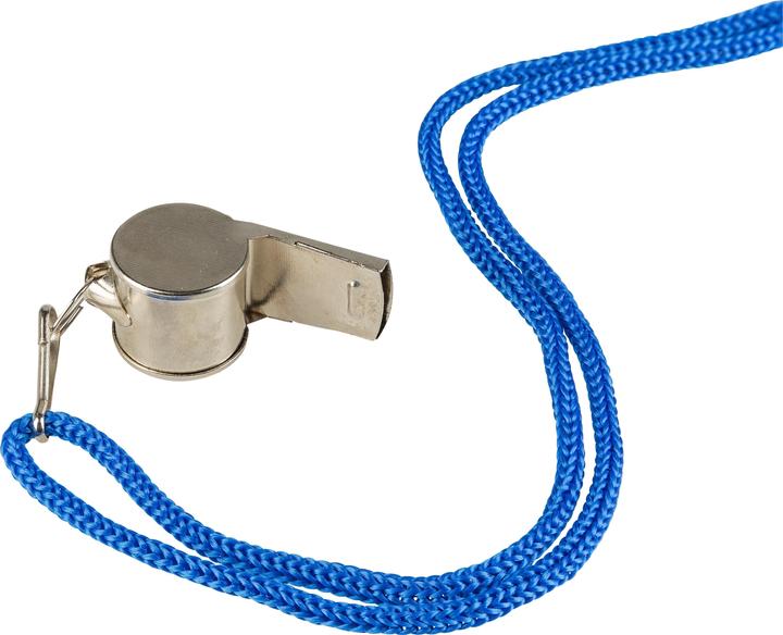 Actual product image Idena Metal whistle