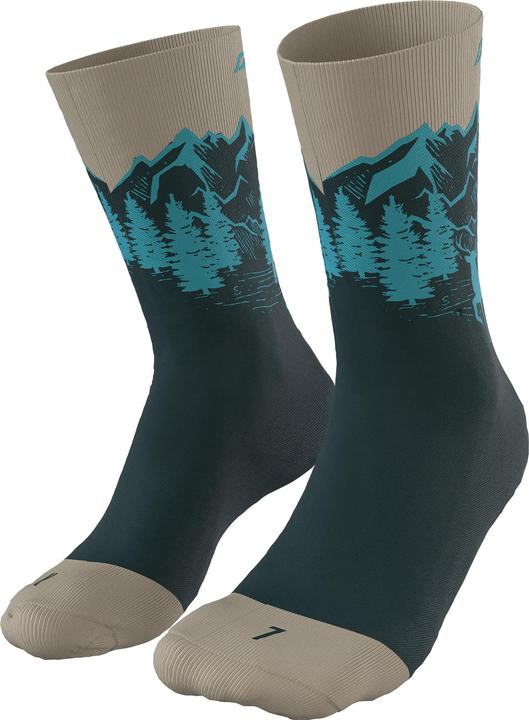 Image du produit Dynafit Chaussettes Stay Fast Unisexe (35 - 38)