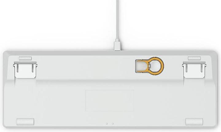 Actual product image Glorious PC Gaming Race GMMK TKL White Ice Edition (US, Cable)