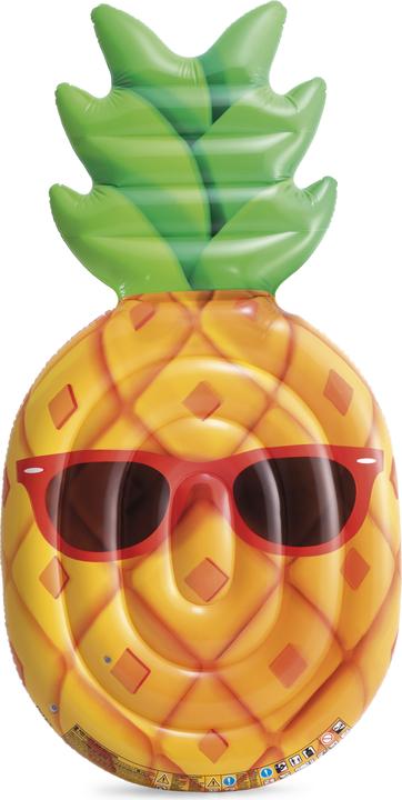 Image du produit Intex Ananas frais