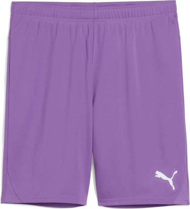 Actual product image Puma teamGOAL shorts (XL)