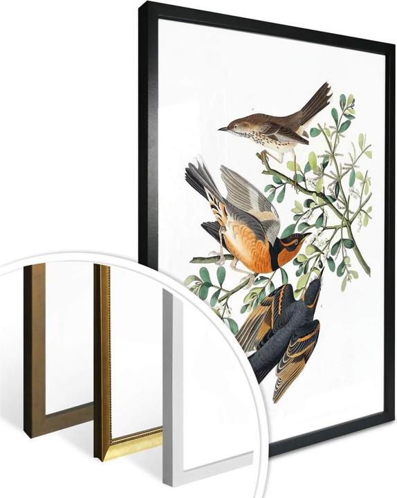 Produktbild Trenddeko Drei Drosseln (40 x 50 cm)