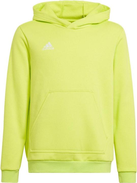 adidas Entrada 22 Sweat Hoodie