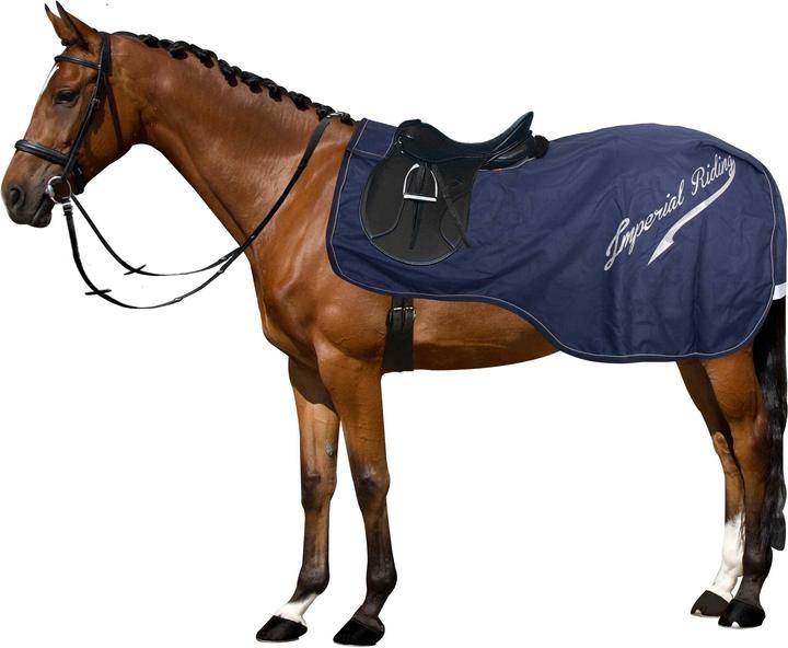 Immagine prodotto Imperial Riding Super-dry 0gr