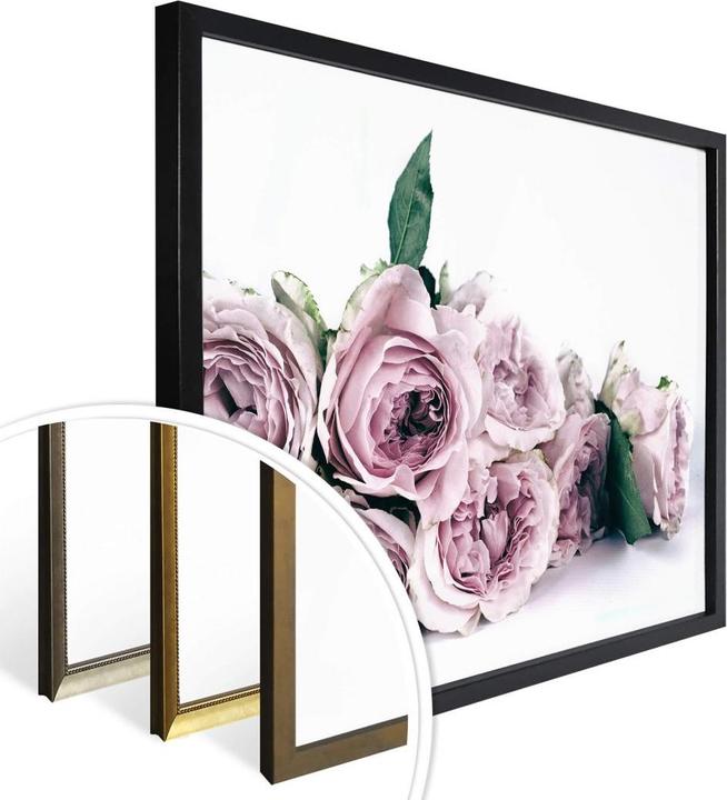 Produktbild Trenddeko Violette Pfingstrosen (30 x 24 cm)